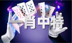 2024澳门全年汗青记实查询V
